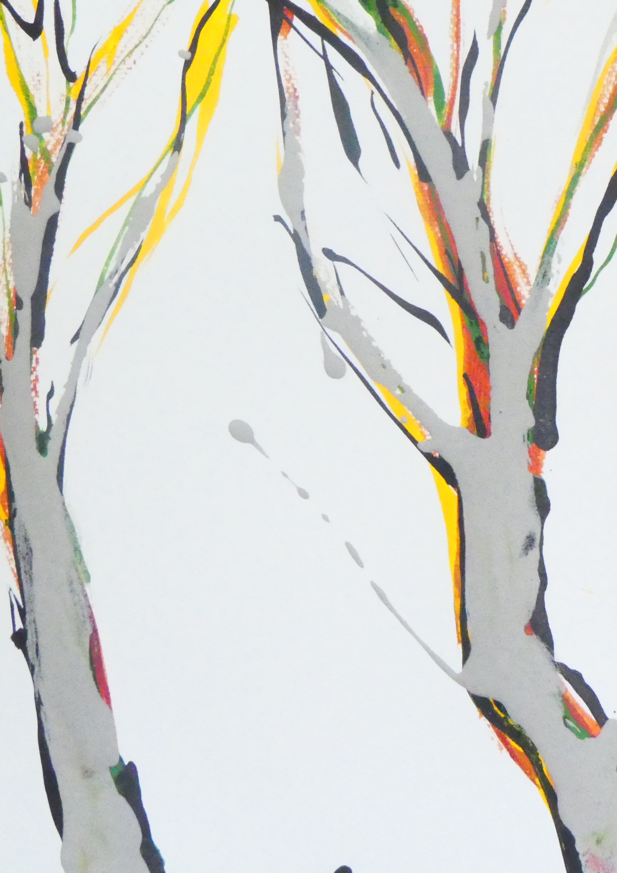 Silver Birch Trees I